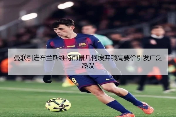 曼联引进布兰斯维特前景几何埃弗顿高要价引发广泛热议