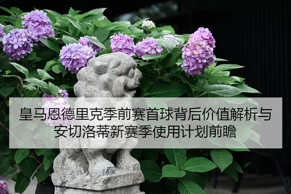 皇马恩德里克季前赛首球背后价值解析与安切洛蒂新赛季使用计划前瞻